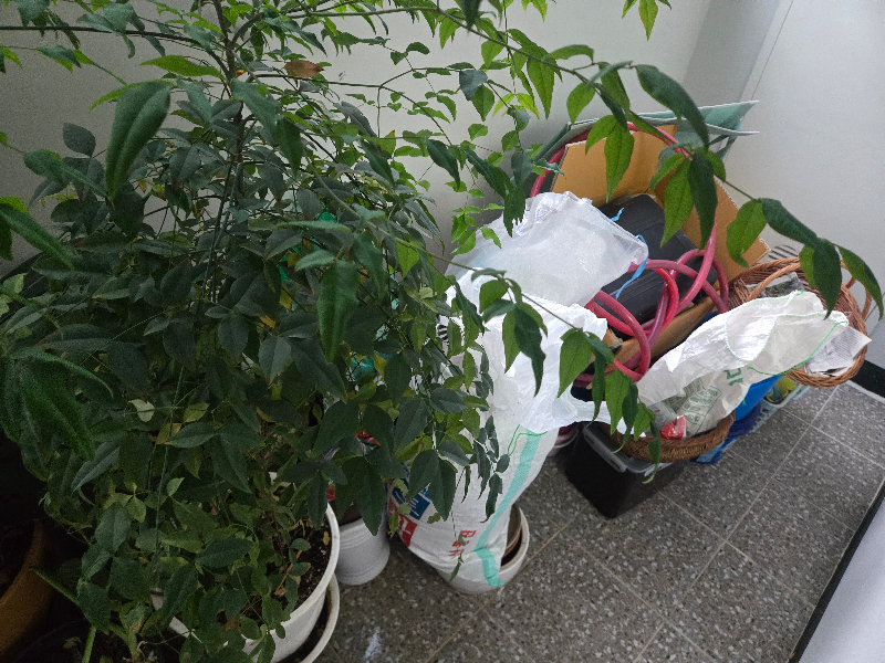 첨부 이미지 1
