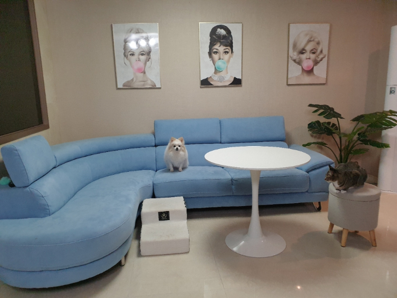 첨부 이미지 1