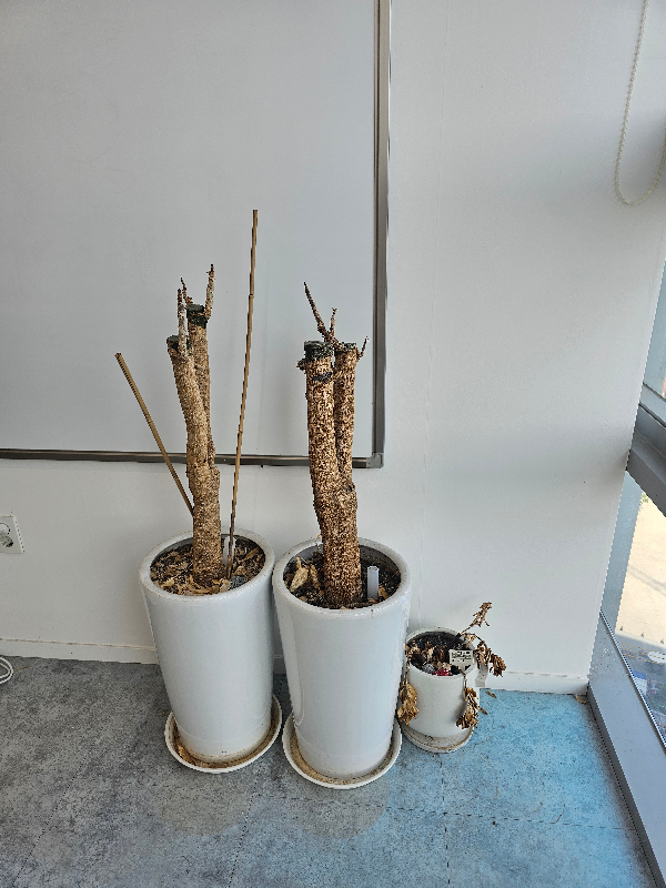 첨부 이미지 1