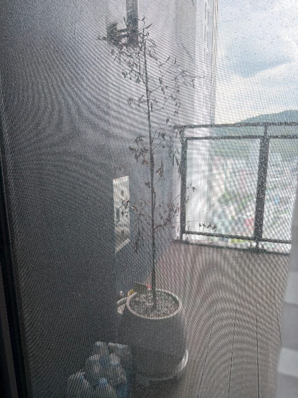 첨부 이미지 1