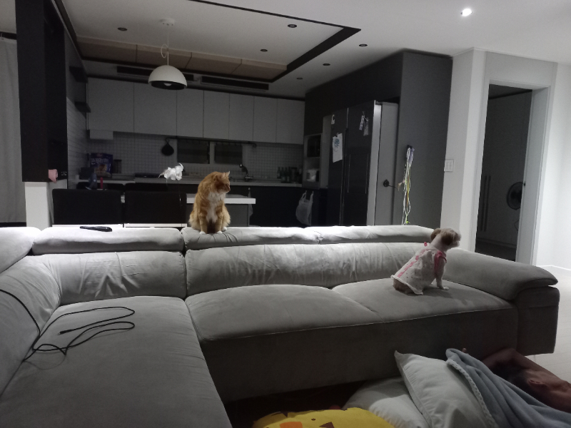 첨부 이미지 1