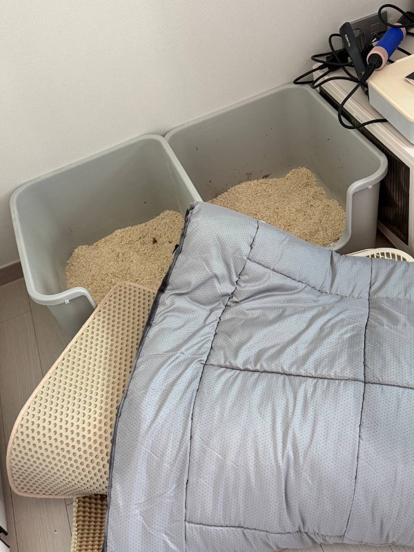 첨부 이미지 1