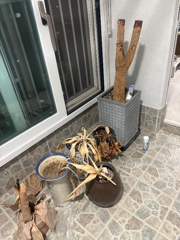 첨부 이미지 1