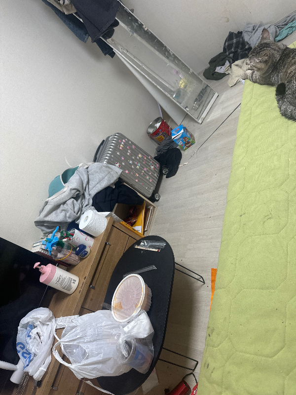 첨부 이미지 1