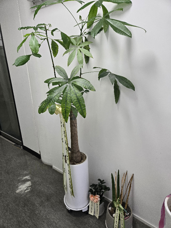 첨부 이미지 1