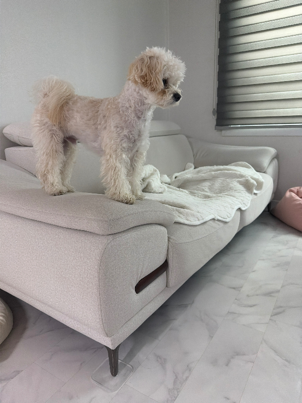 첨부 이미지 1
