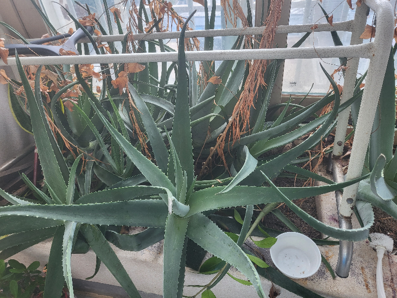 첨부 이미지 1