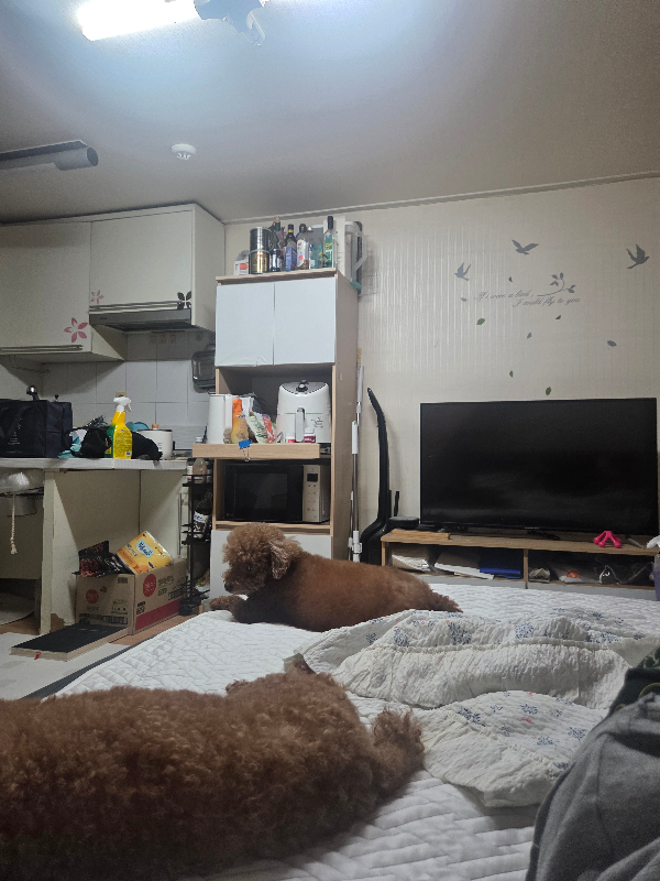 첨부 이미지 1
