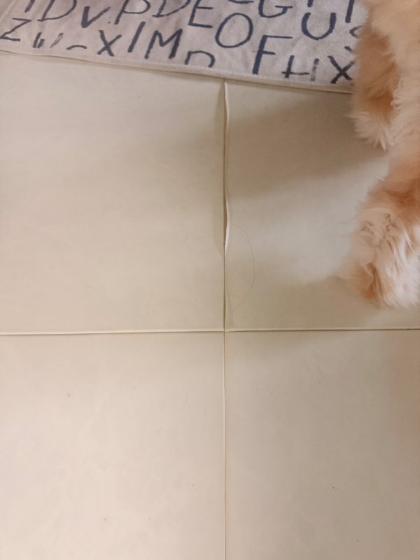 첨부 이미지 1