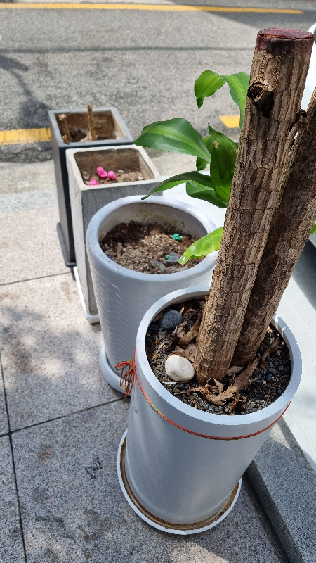 첨부 이미지 1