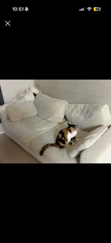 첨부 이미지 1