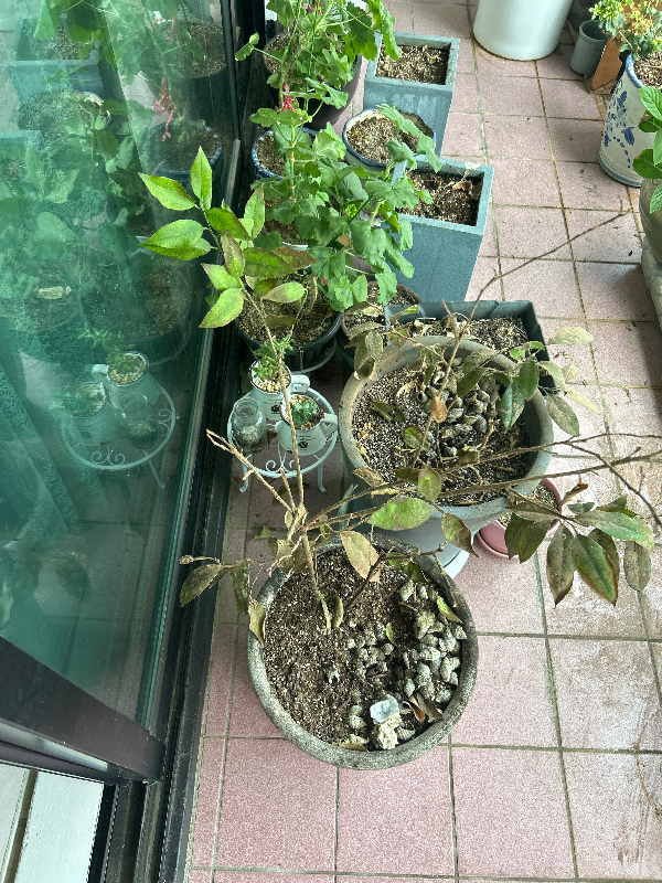 첨부 이미지 1