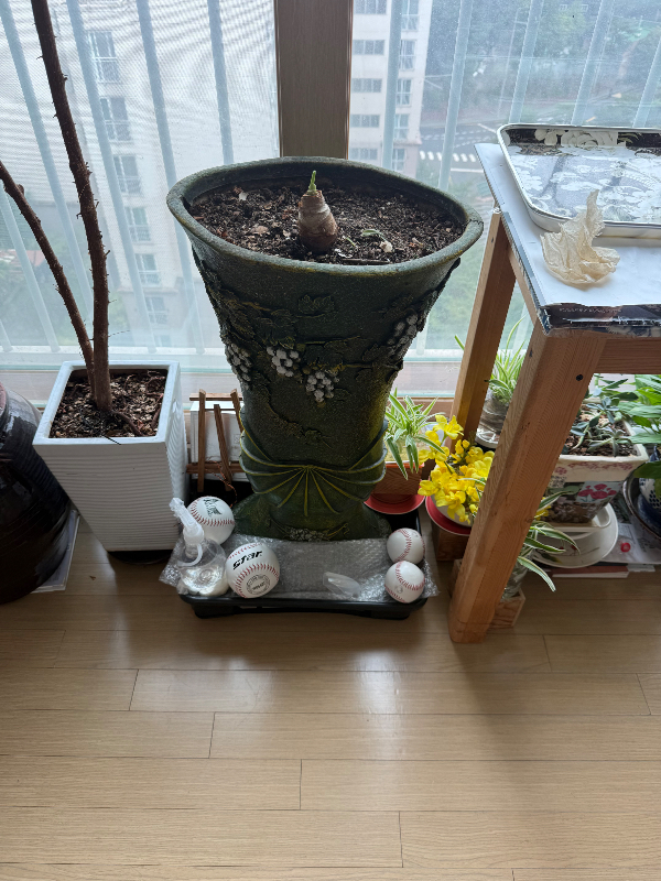 첨부 이미지 1