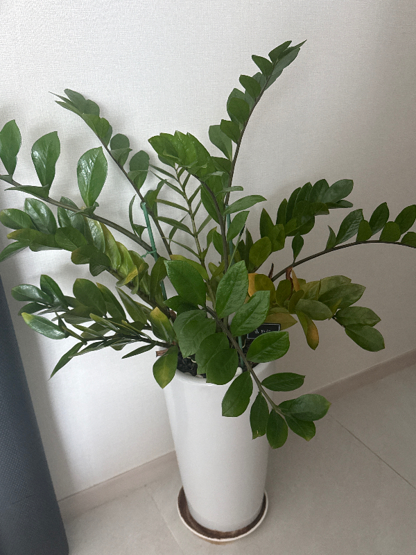 첨부 이미지 1